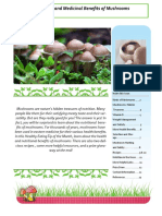 Mushrooms 0614