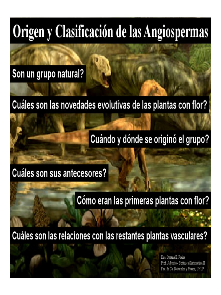 Origen y Filogenia de las Angiospermas | PDF | Flores | Reproducción de ...