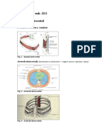 COMPLETARI SUB II-3.doc