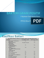 Bakteri Gram Positif