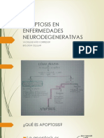 Apoptosis en Enfermedades Neurodegenerativas