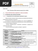 Grandes IDeias Resumo 6 CN