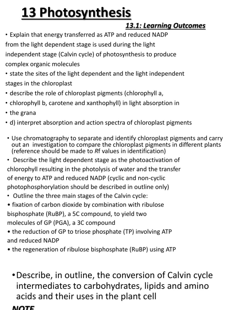Photosynthesis equation picture