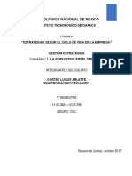 Estrategias Segun El Ciclo de Vida de La Empresa