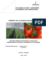 Proyecto Produccion de Tomate 2014 PDF