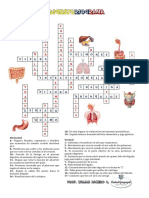 Digestoriograma Sol PDF
