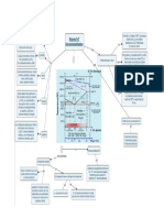 Mapa Conceptual.pdfº