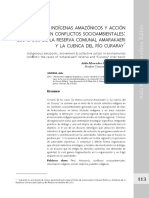 Conflictos Socioambientales en la Amazonia