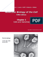 Chapter 1. Introduction to Cell Biology