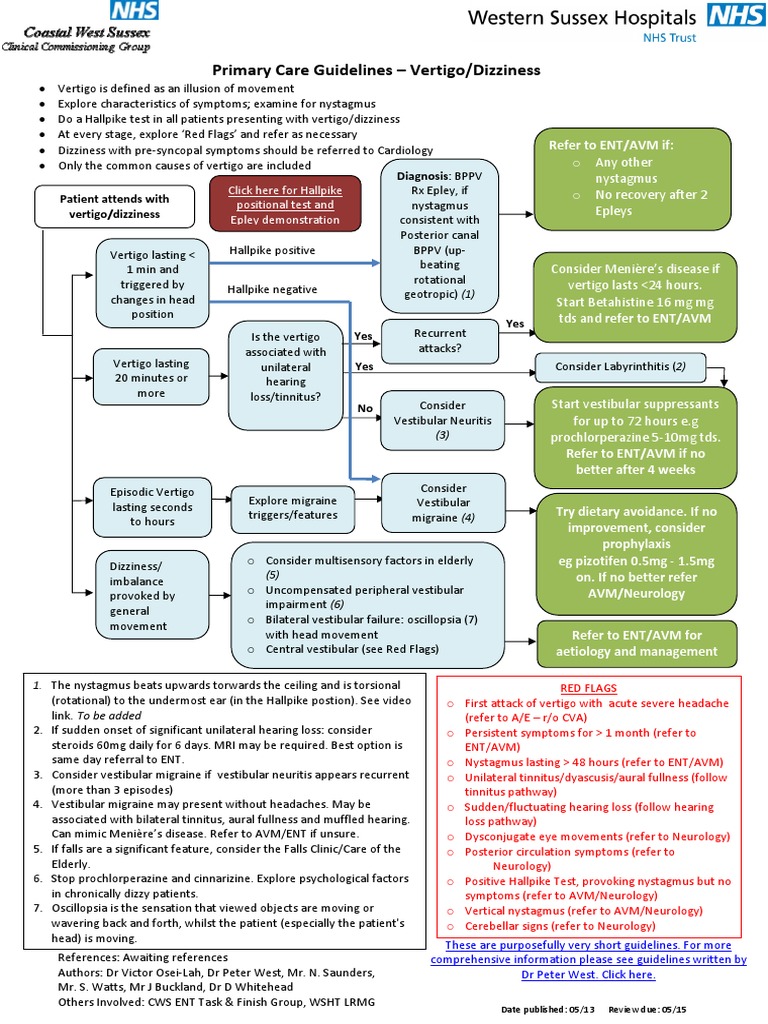 Primary Care Guidelines for Vertigo | PDF | Vertigo | Neurological ...