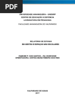 Relatorio Do Estagio 2017 - Gestao