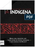 ONDE ESTAO OS POVOS INDIGENAS.pdf