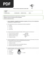 Prueba Sistema Esqueletico Cuarto Año
