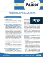 │EC│ PAMER HISTORIA PERU SM.pdf