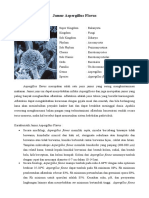 Dokumen - Tips - Jamur Aspergillus Flavus