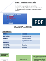 Candidiasis: causas, características y cuadros clínicos