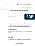 Plantilla Informe Pericial 