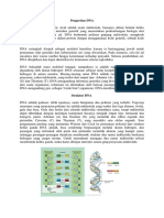 Pengertian DNA