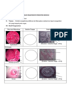 Laporan Histologi