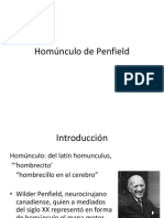 Homúnculo de Penfield