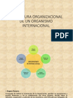 Estructura Organizacional de Un Organismo Internacional
