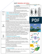 Unidad IV. Metabolismo Del Carbono