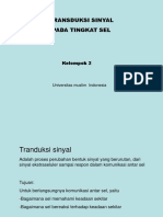 Transuksi Sinyal