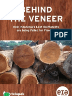 Behind The Veneer