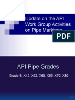 Update On The API Work Group Activities On Pipe Markings