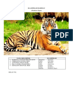 Klasifikasi Harimau