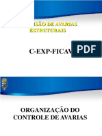 1 Organização Do Cav