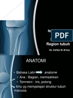 Anatomi Regio
