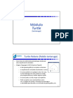 Turtle2slidespp PDF