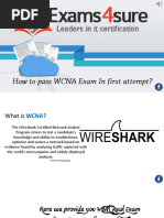 WCNA Practice Questions