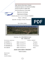 Mémoire Fin Etude Mohamedi PDF