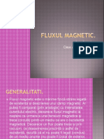 Fluxul Magnetic