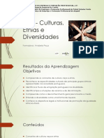 DSP-culturas-etnias e diversidades.pdf