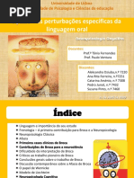 Trabalho de Neuropsicologia Cognitva Do Grupo Da Rita Ferreira - Afasia de Broca - Texto 2[1]