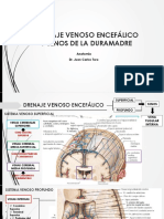 Drenaje Venoso y Senos de La Duramadre