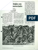 Milho-feijao.pdf