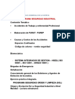 Formato Plan Para El Desarrollo de La Materia Seg Industrial