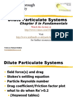 Dilute Particulate Systems: Chapter 5 in Fundamentals