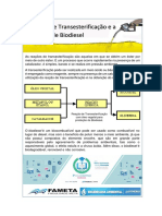 Modelo Panfleto Biodiesel