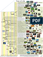 Life of Tree.pdf