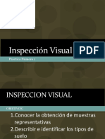 1 Inspeccion Visual.pdf