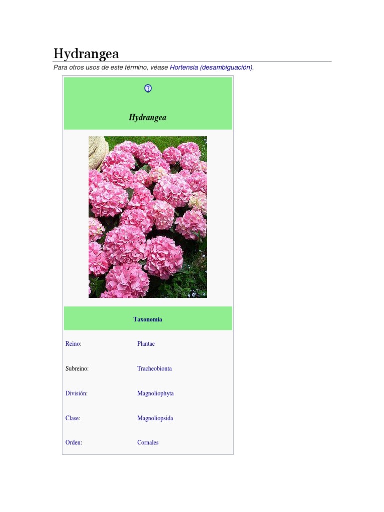 Guía Completa de las Hortensias | PDF | Horticultura y jardinería | Plantas, image size:768x1024