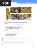 7ano - Fósseis + tempo geológico.docx