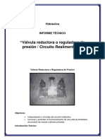 Informe - Hidraulica Reductora