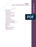 Processamento e transcrição do RNA em