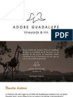 Adobe Guadalupe 